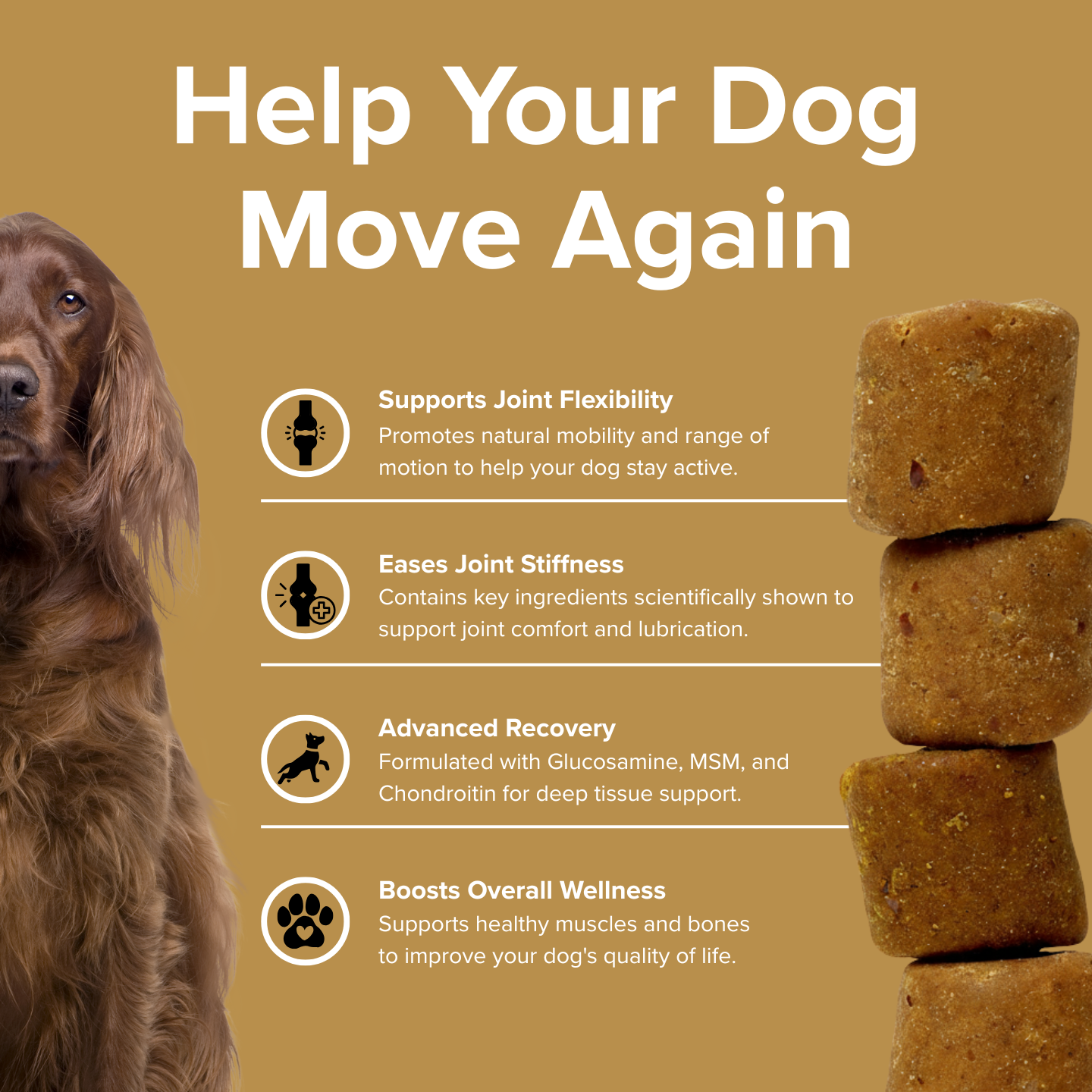 PupStrong+ Hip Joint Advanced Support