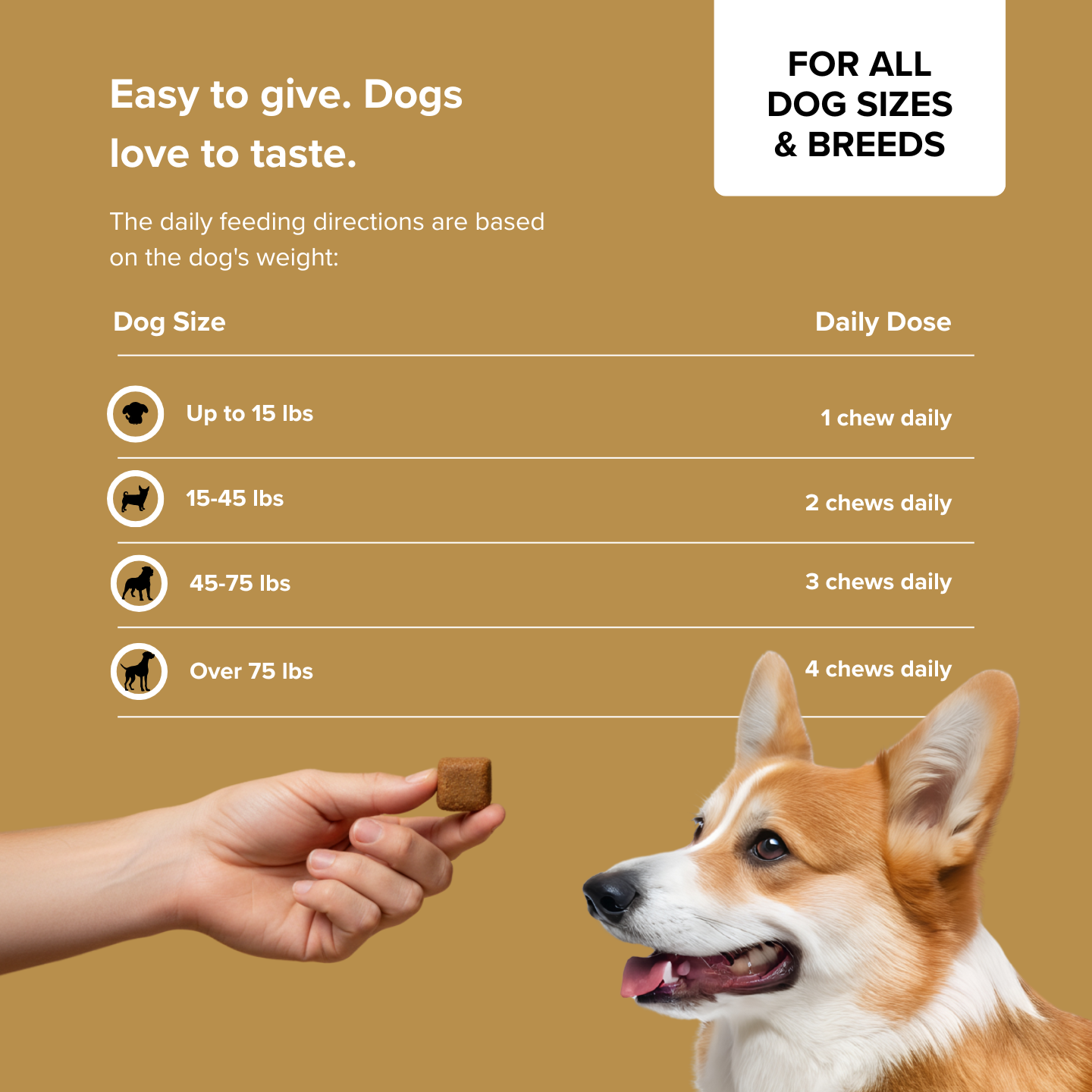 PupStrong+ Hip Joint Advanced Support