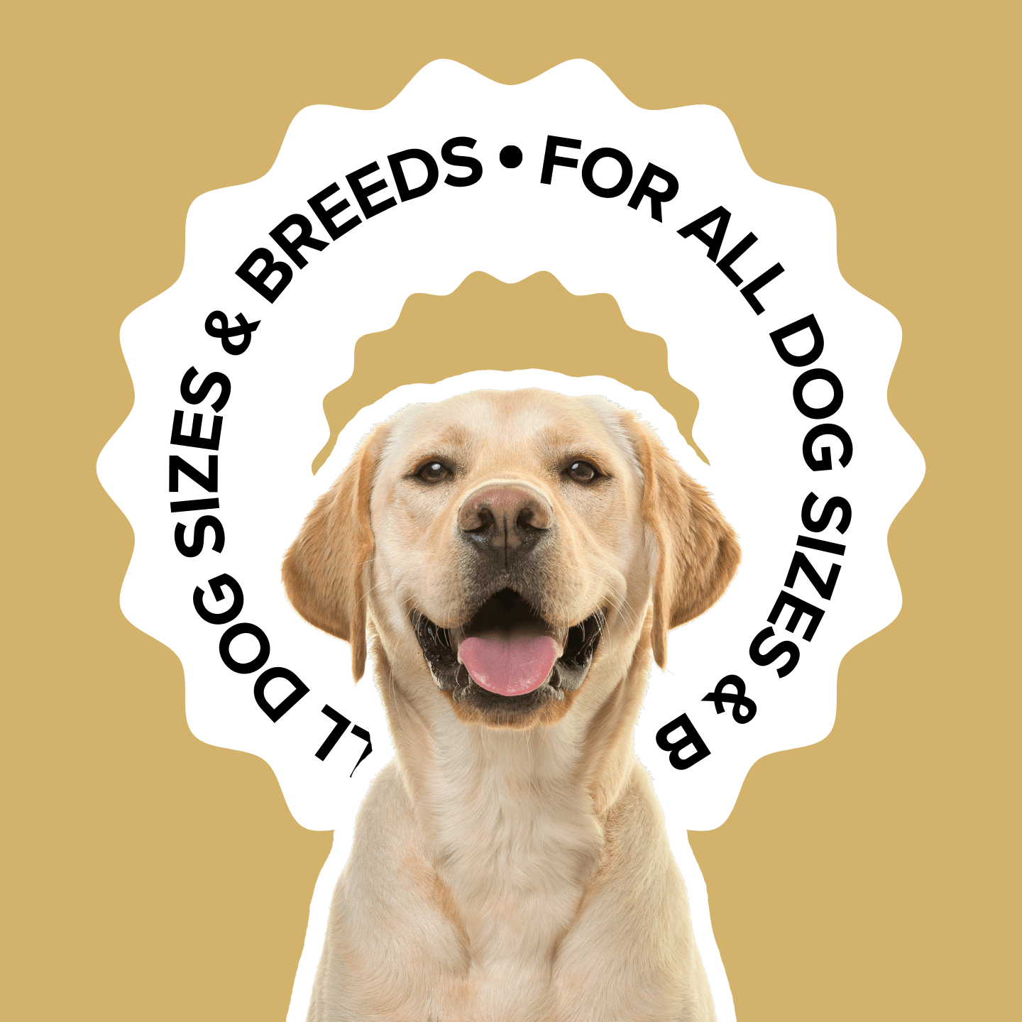 PupStrong+ Hip Joint Advanced Support