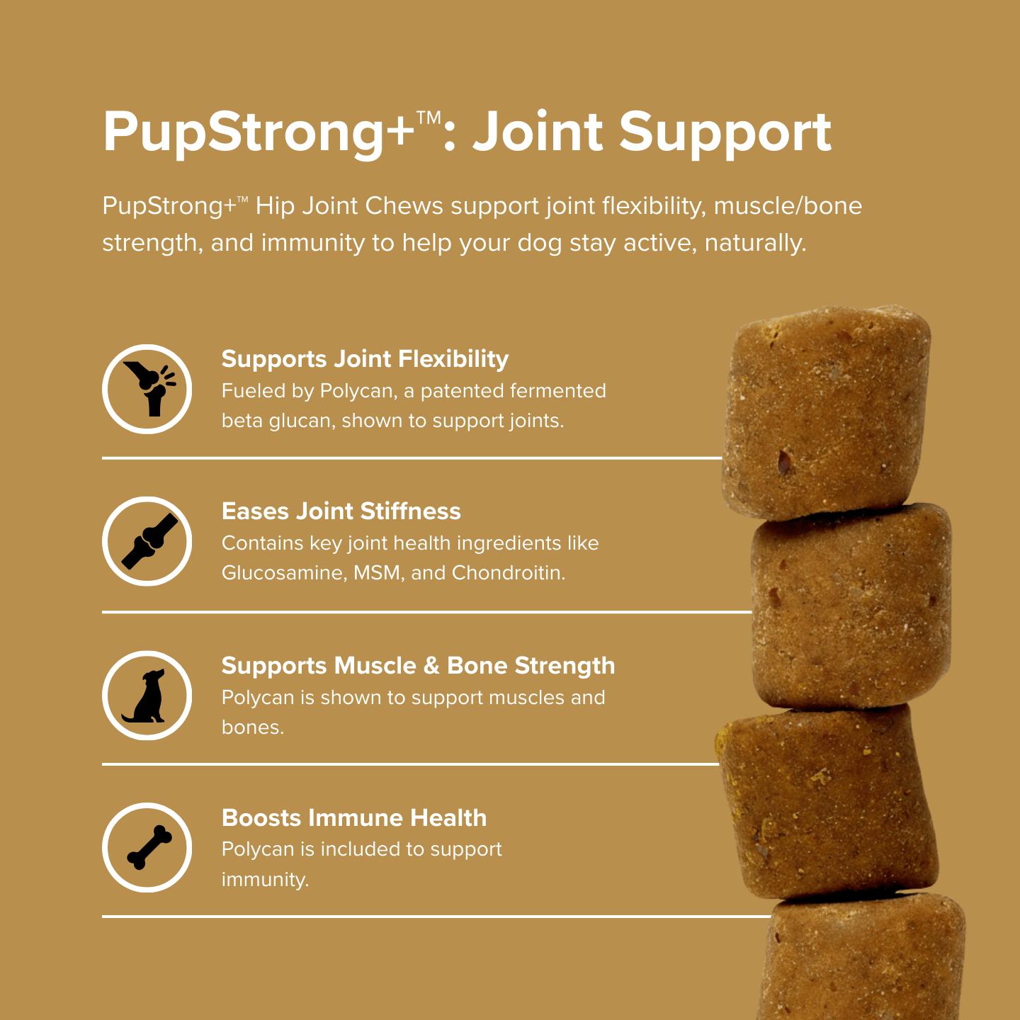 PupStrong+ Hip Joint Advanced Support