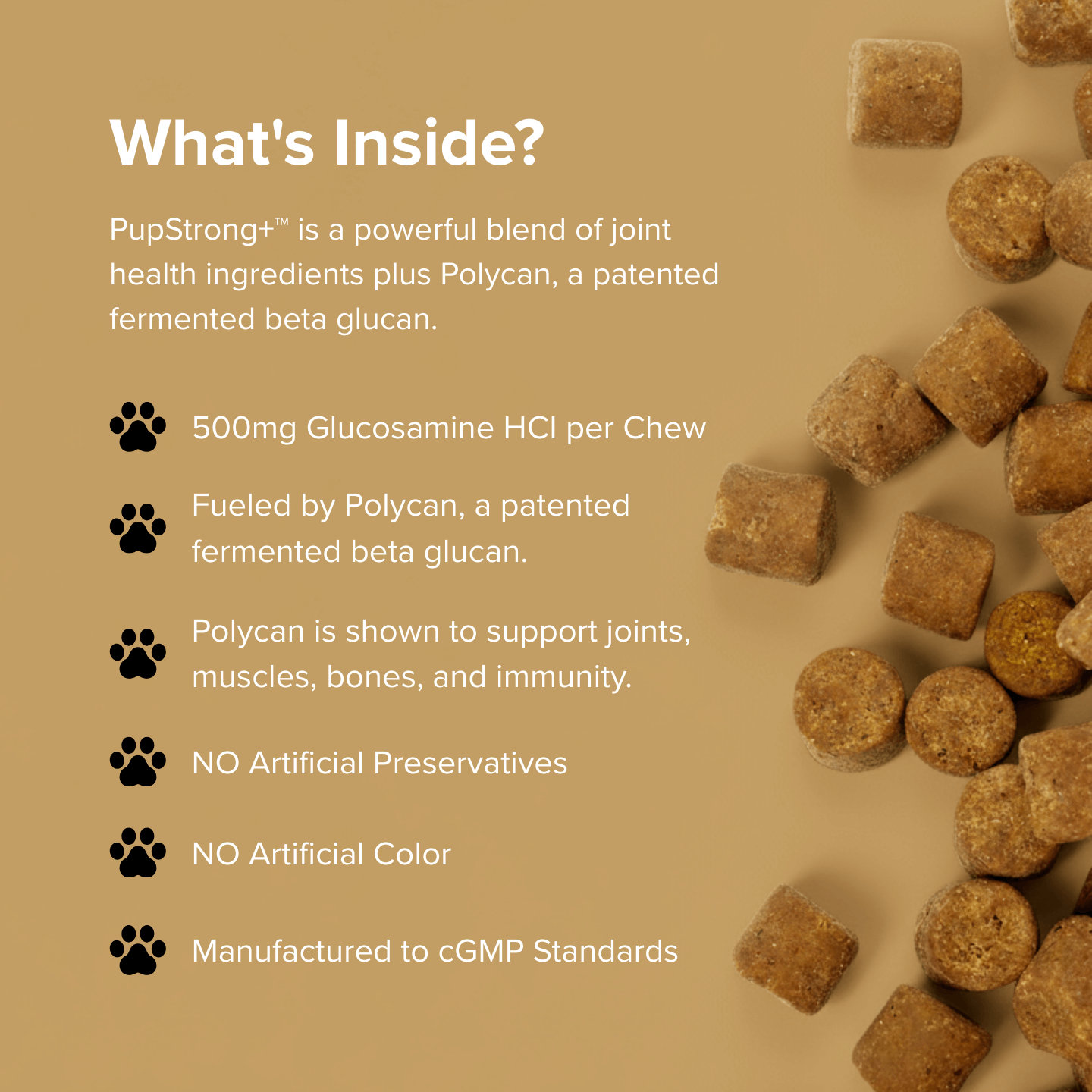 PupStrong+ Hip Joint Advanced Support