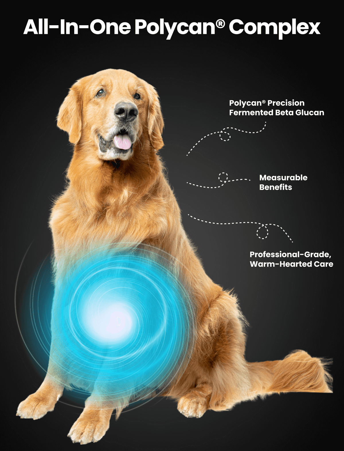 The Power of Polycan®